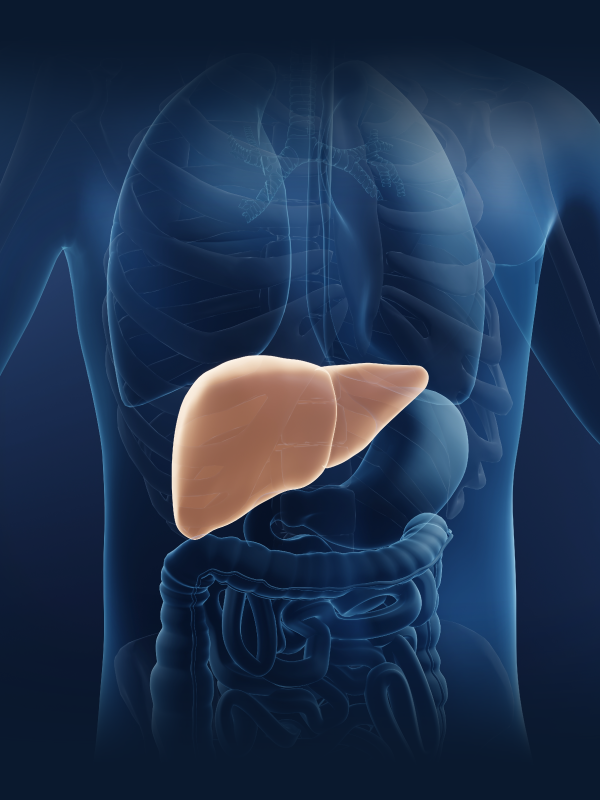 Living Donor Liver Transplant – The First Approach!