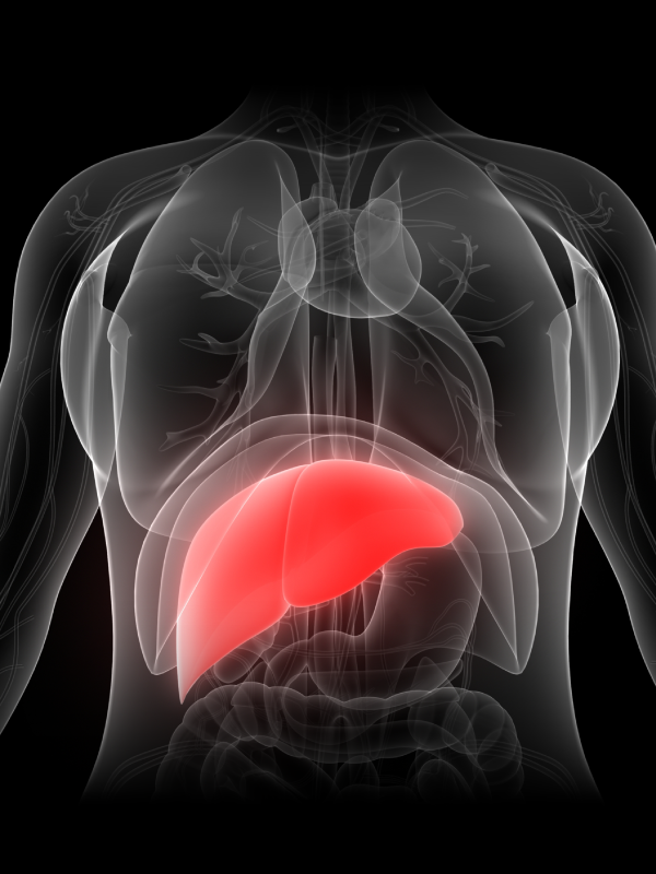 World Liver Day Conclave 2021 - Enabling Congruence of Hepatic Experts