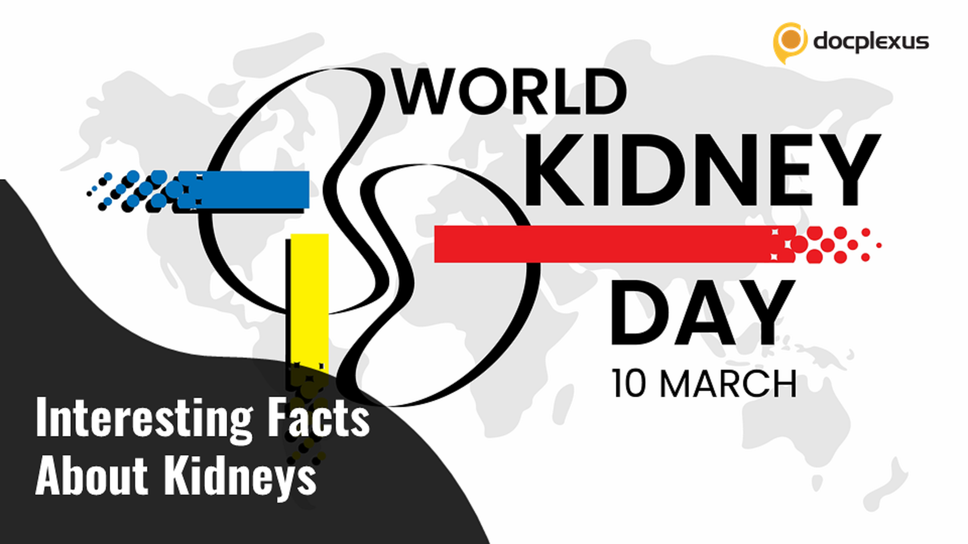 Interesting Facts About Kidneys – World Kidney Day!