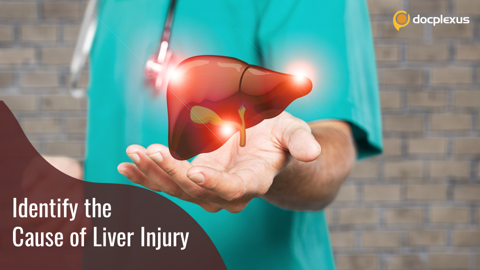 What Has Caused Liver Injury in This Patient?