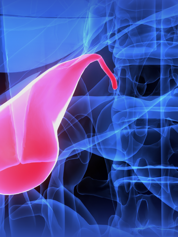 Evidence-based management of cholecystectomy associated biliary injury
