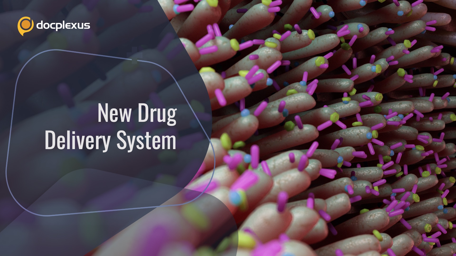Bacterioboat: A New Oral Drug Delivery System