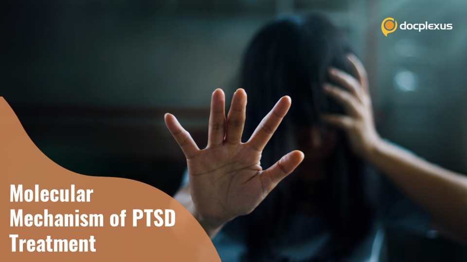 Molecular Mechanism of PTSD Treatment Unraveled