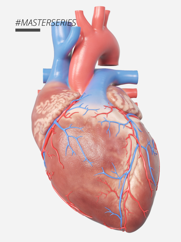 Chronic Coronary Syndrome: New Wine in Old Bottle