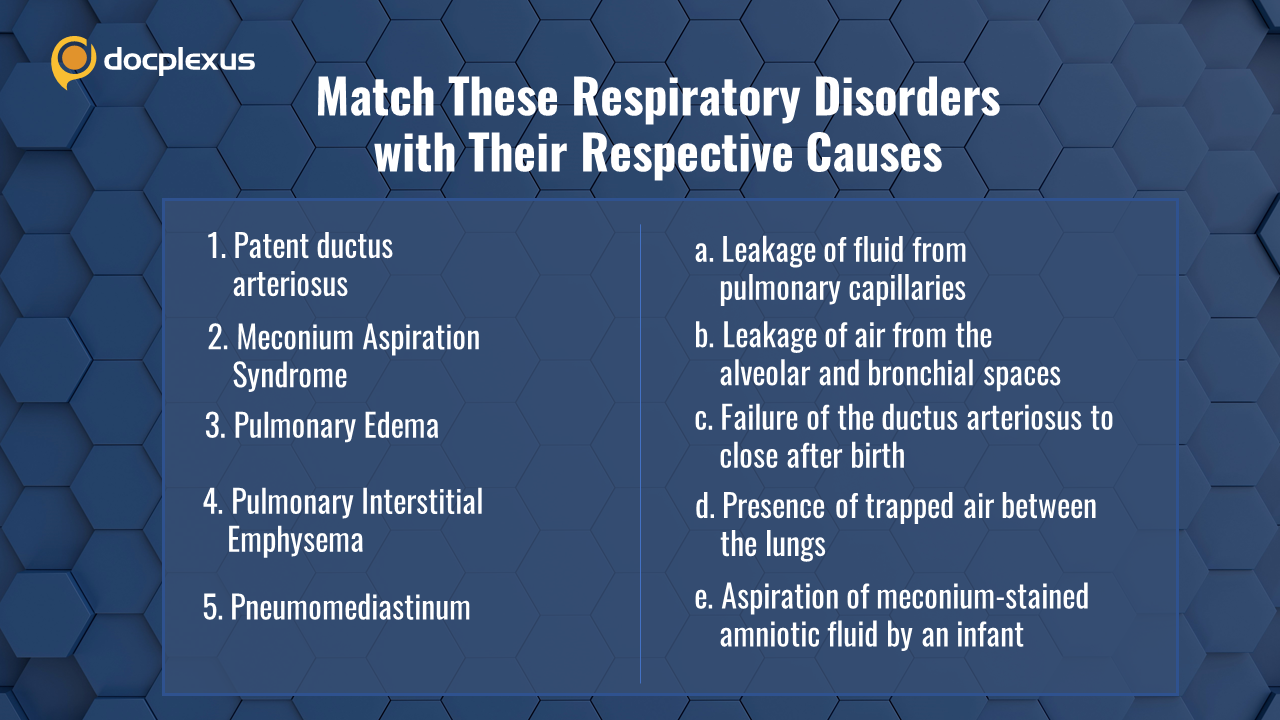 Respiratory Disorders and Their Etiologies