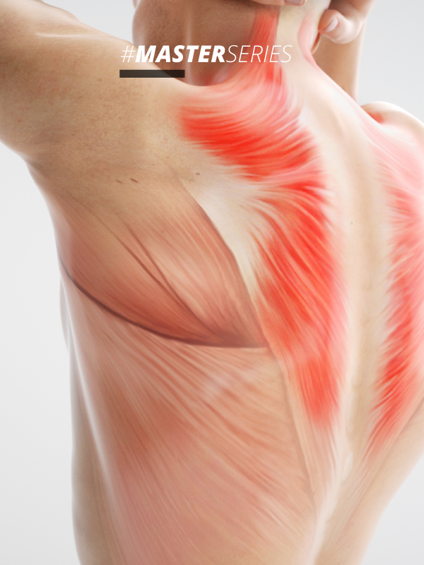 Sarcopenia, Cachexia and Aging: Diagnosis and Therapeutic Options