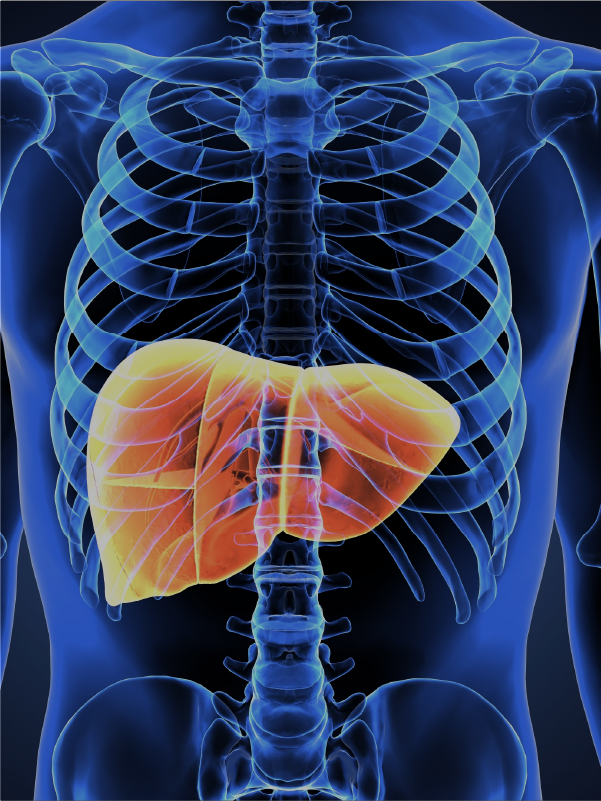 NAFLD and Pancreatic Diseases