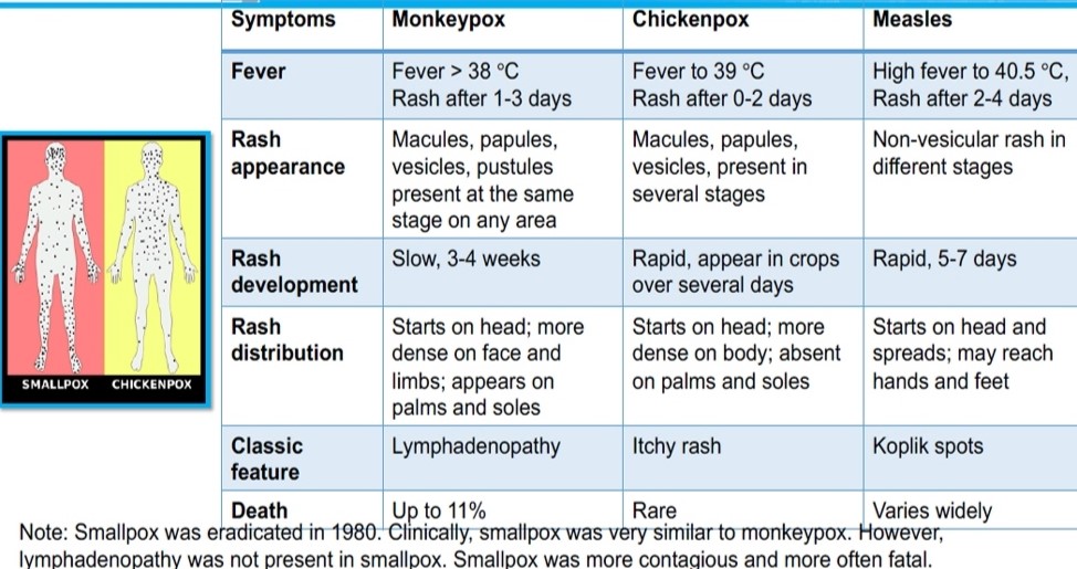 What to Know About Monkeypox?