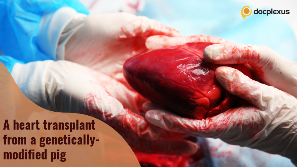 What Went Wrong in the Pig Heart Transplant?