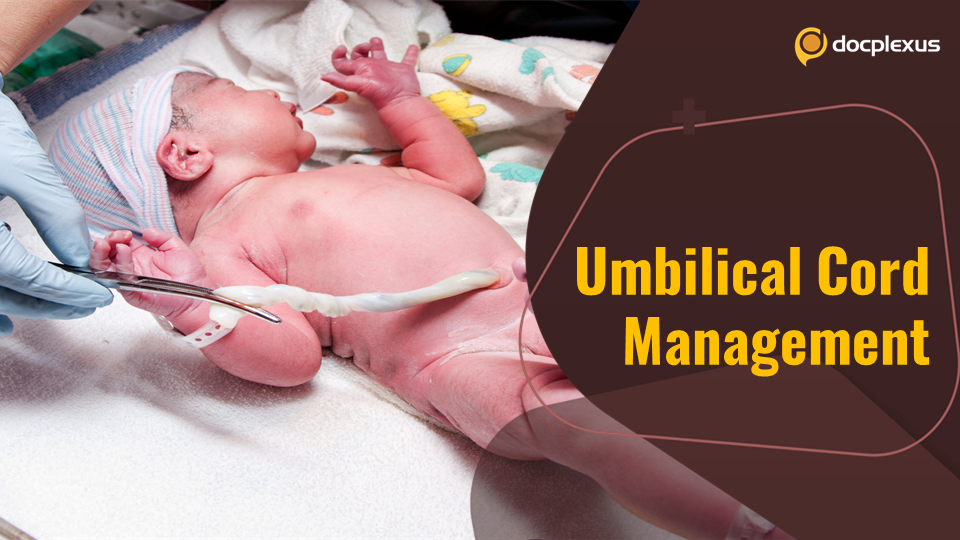 Umbilical Cord Management in Preterm and Term Infants: SOGC-CPS, 2022