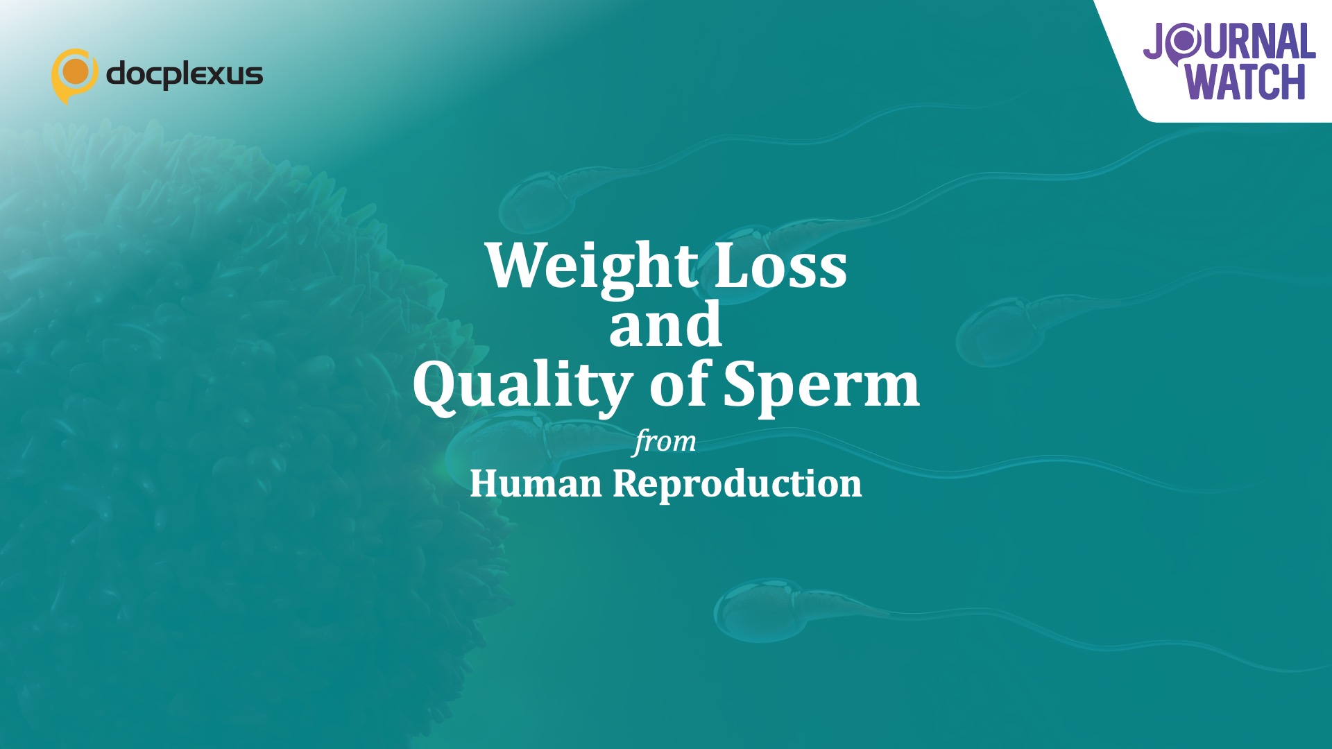 Weight Loss Can Improve Sperm Quality