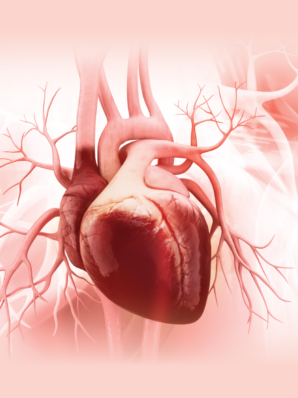 CAD: Non-invasive Evaluation and Lipid Implications for Clinical Care