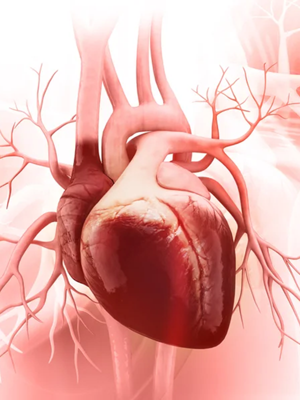 CVTS: What Makes It an Attractive Super Specialty?