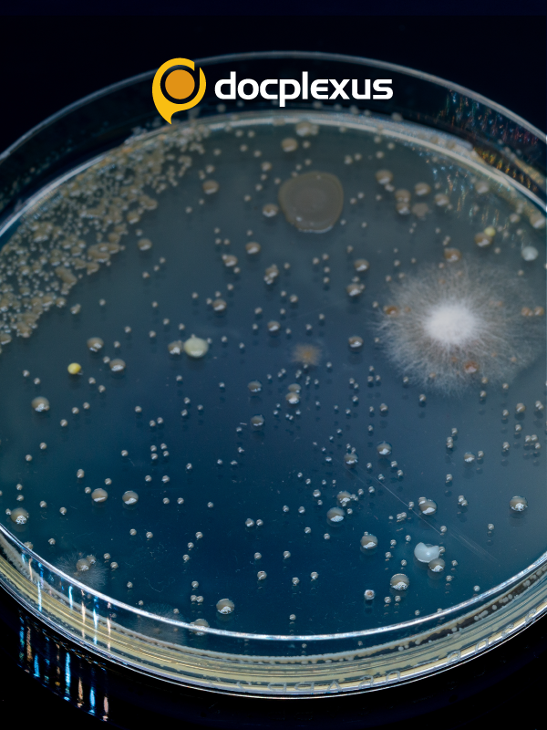 Current Problems in the Management of Superficial Fungal Infections