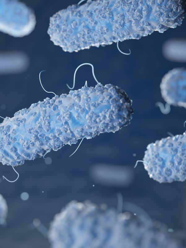 Managing Gram-negative Sepsis