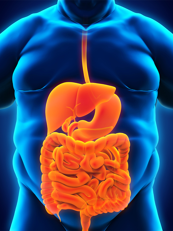 Obesity And Liver Diseases