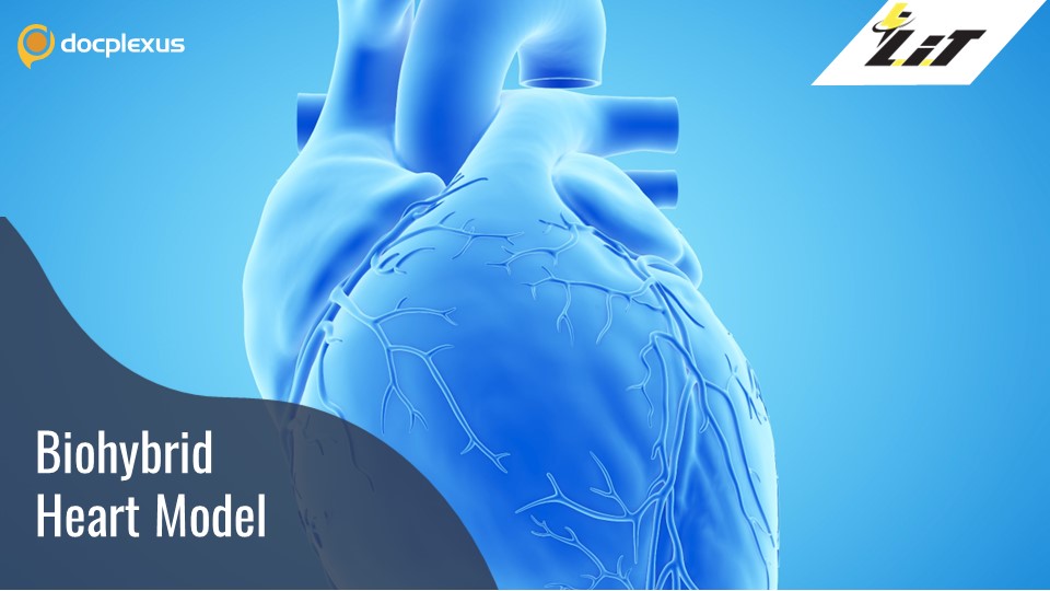 Biofabricating an Artificial Heart from Scratch