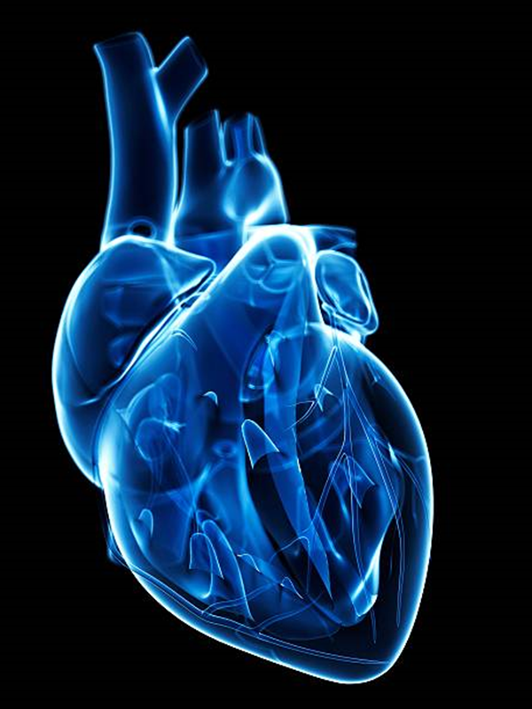 Left Ventricular Assist Device: An Alternative to Heart Transplant
