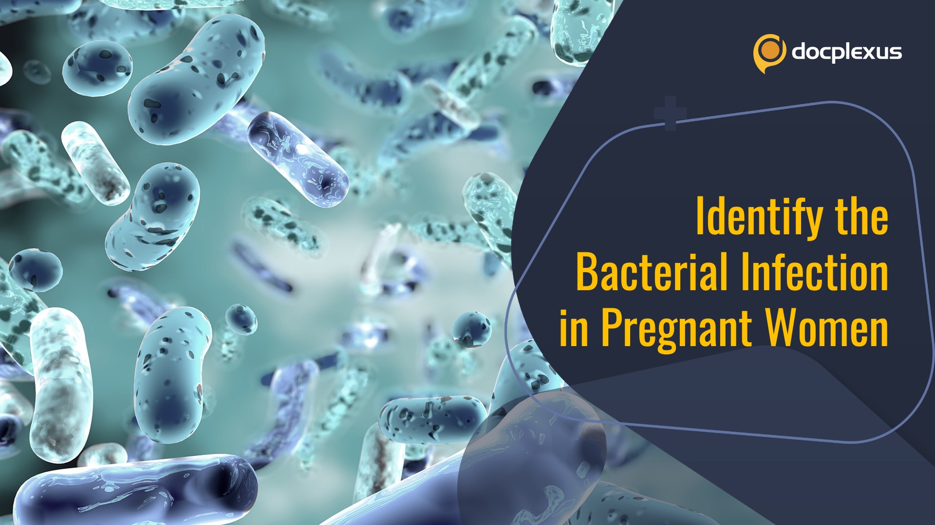Identify the Bacterial Infection in Pregnant Women