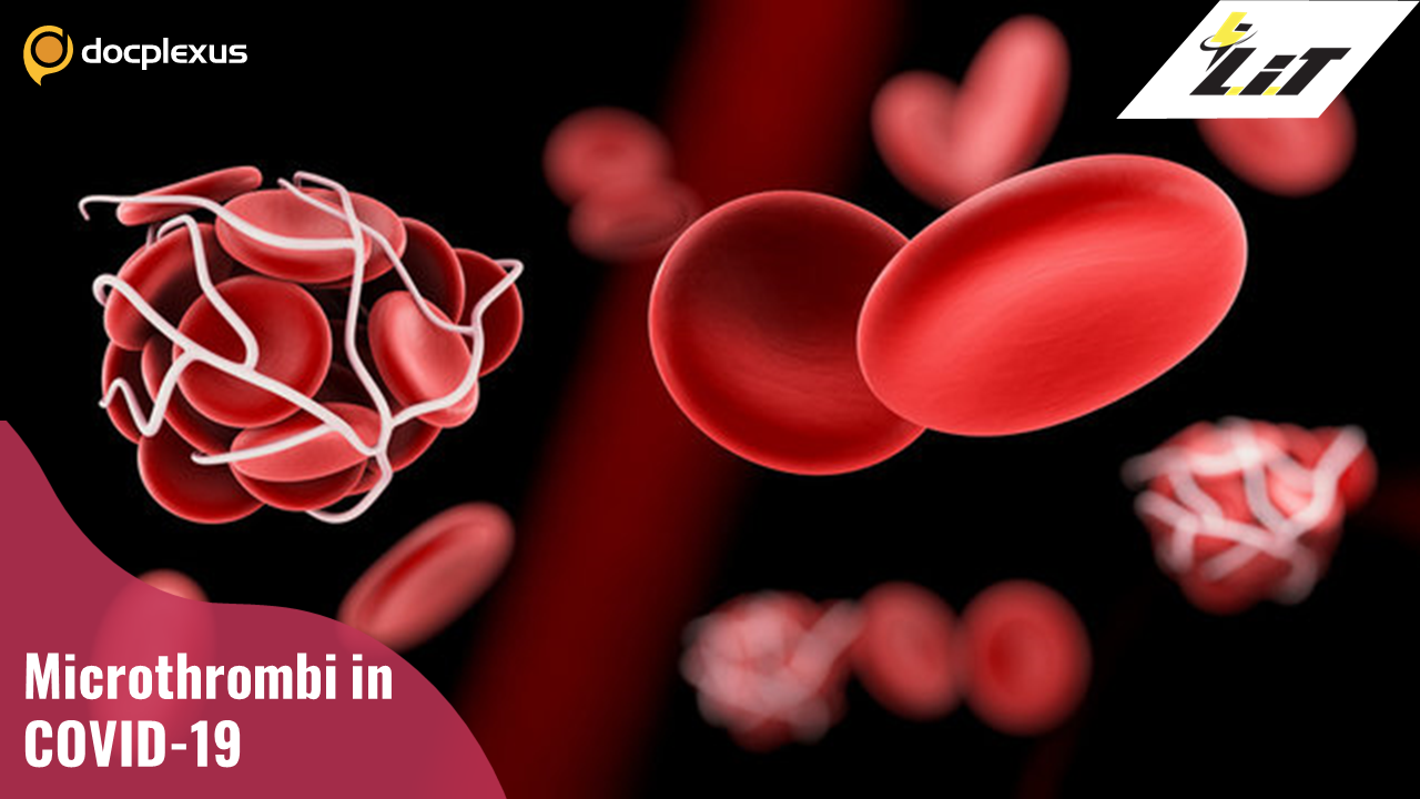 Punch Biopsy for Assessing Tissue Damage in COVID-19 Patients