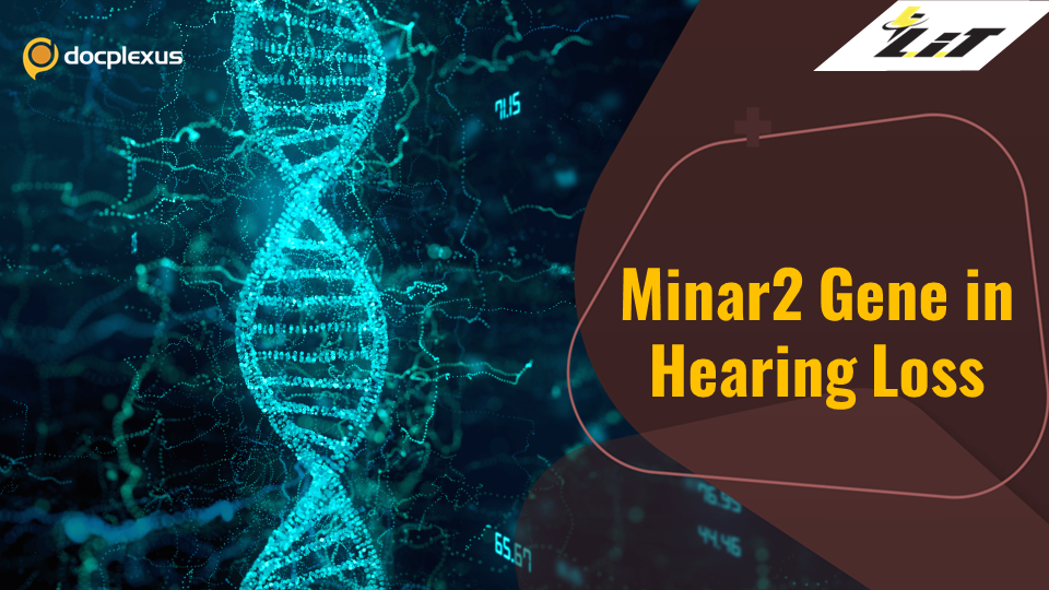 Role of the MINAR2 Gene in Hearing Loss