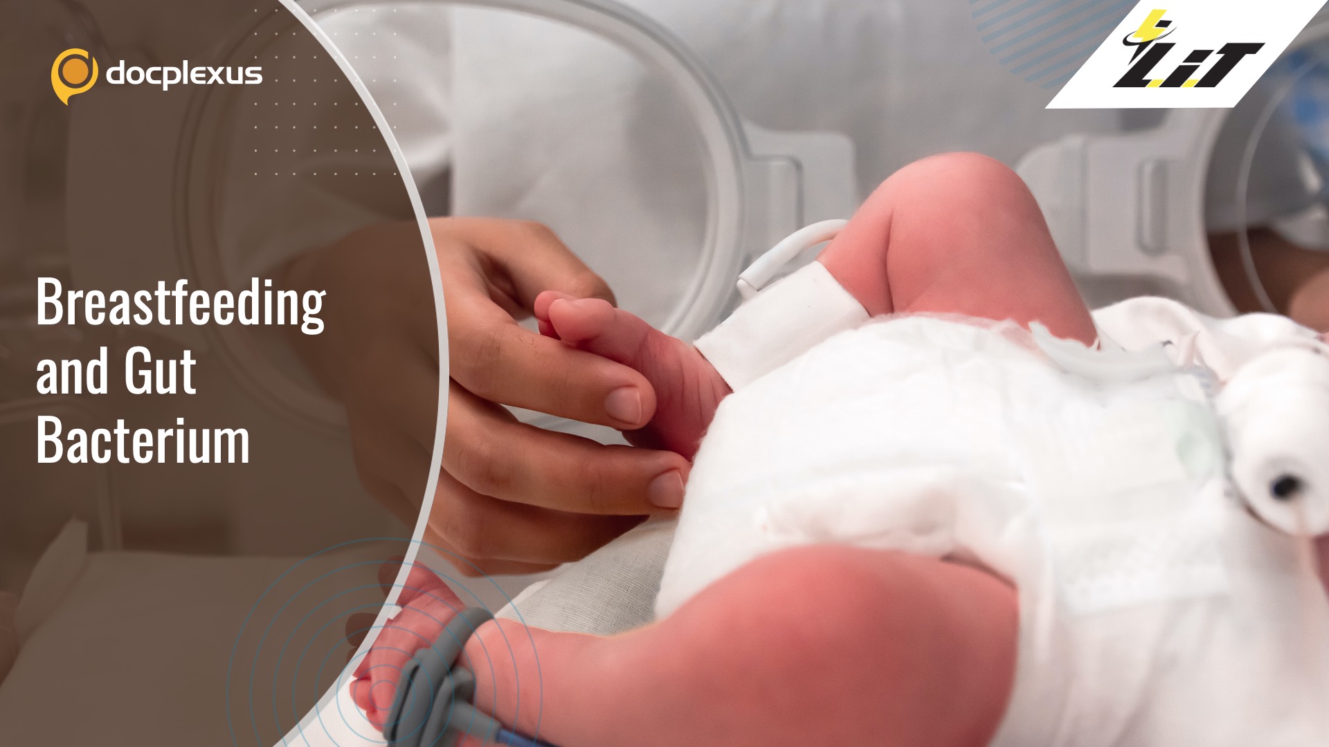 Can Breastfeeding and Gut Bacterium Improve the Gut Health of Preterm Newborns?
