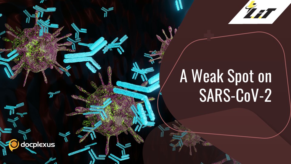 Potential Antibody Treatment Against All SARS-CoV-2 Variants