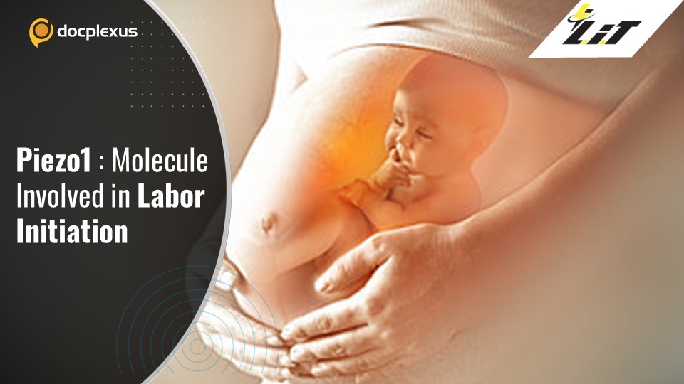 Inching Closer Towards Treatment for Preterm Labor