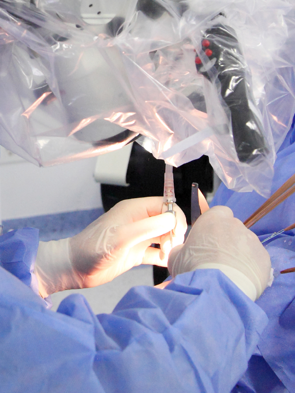 Restorative Neurosurgery