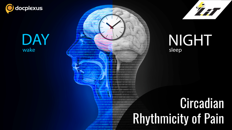 Can Circadian Rhythm Impact One’s Pain Sensitivity?
