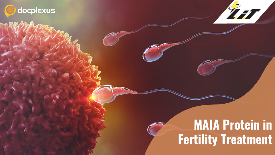Newly Discovered Protein Can Help in Fertility Treatments