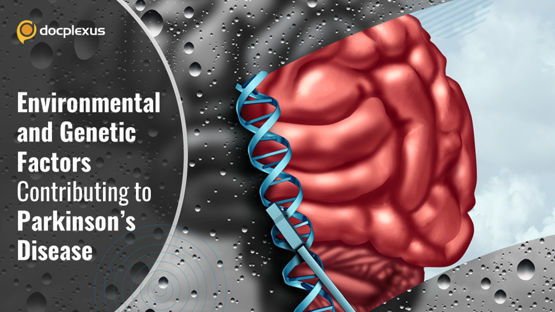 The Role of Environmental Factors in Late-onset Parkinson’s Disease
