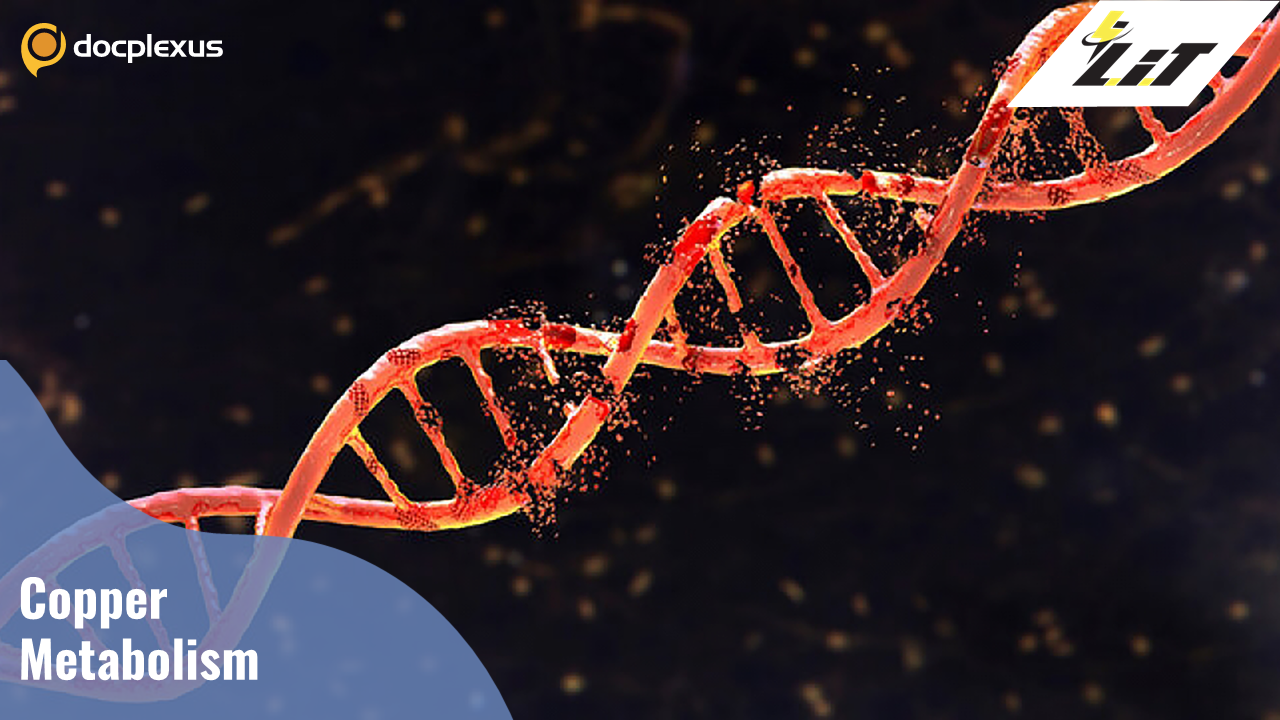 A Novel Copper Metabolism Disorder