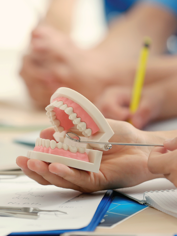 Student Perspectives on the Dental Education System: Trends, Challenges, and Interventions