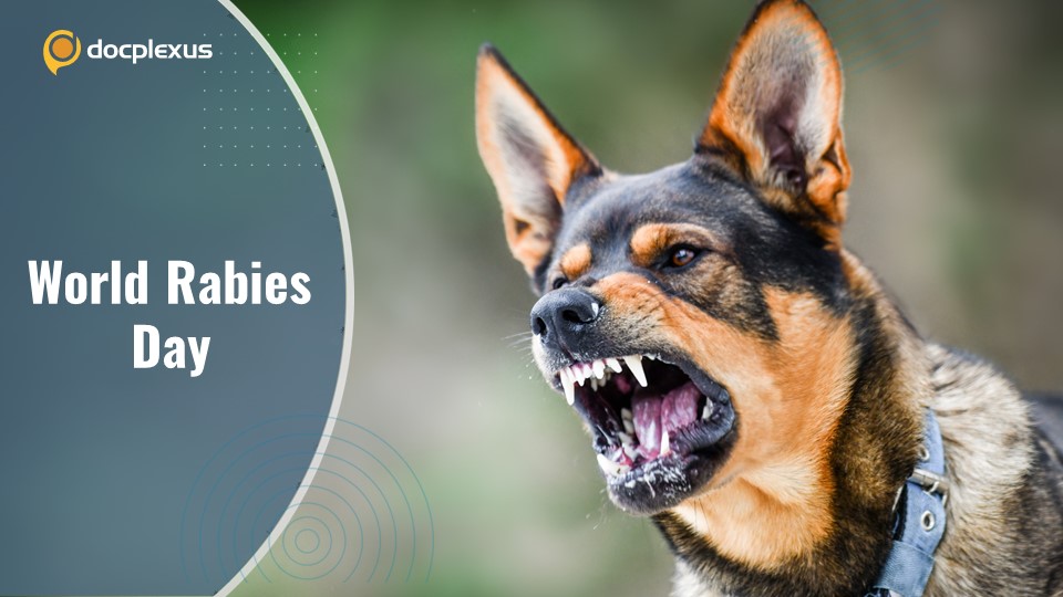 World Rabies Day: Latest IAP Guidelines on Rabies Prevention in Children