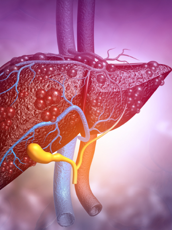 ABC of Hepatitis