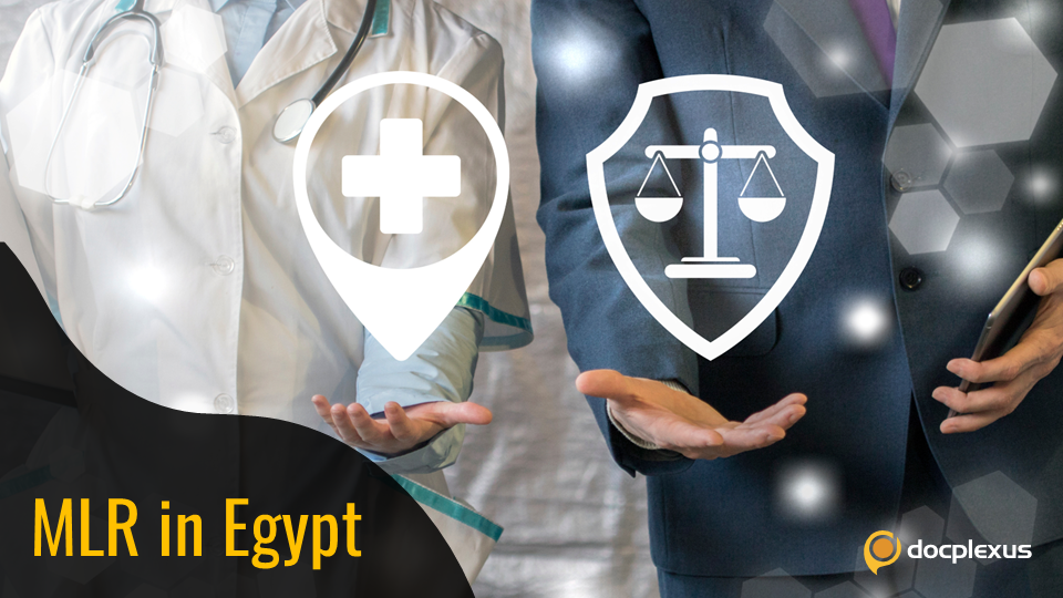 Addressing the Challenges in Medicolegal Reporting in Egypt
