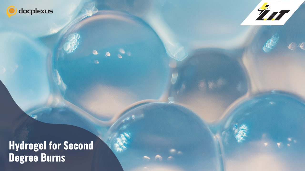 A Novel Hydrogel-based Burn Dressing