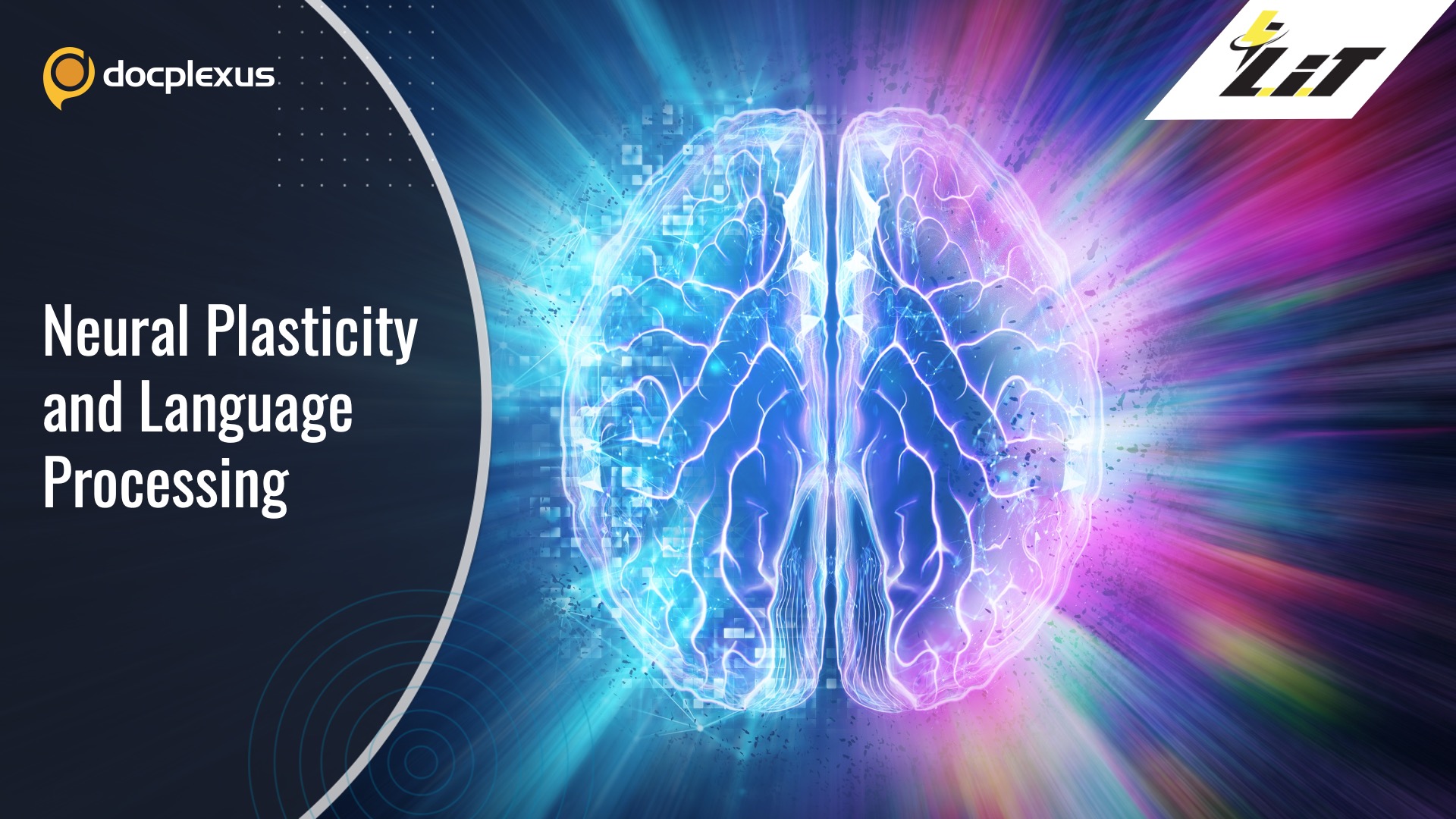 Neural Plasticity and Language Processing in Infant Stroke Patients