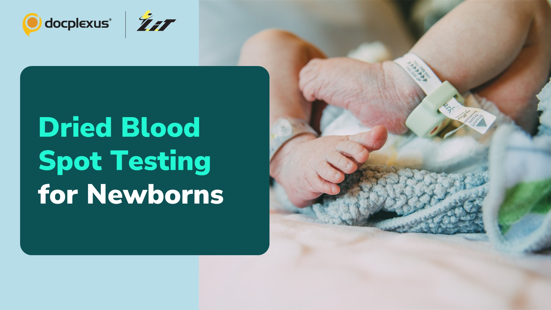 Certified Reference Material for Dried Blood Spot Testing in Newborns