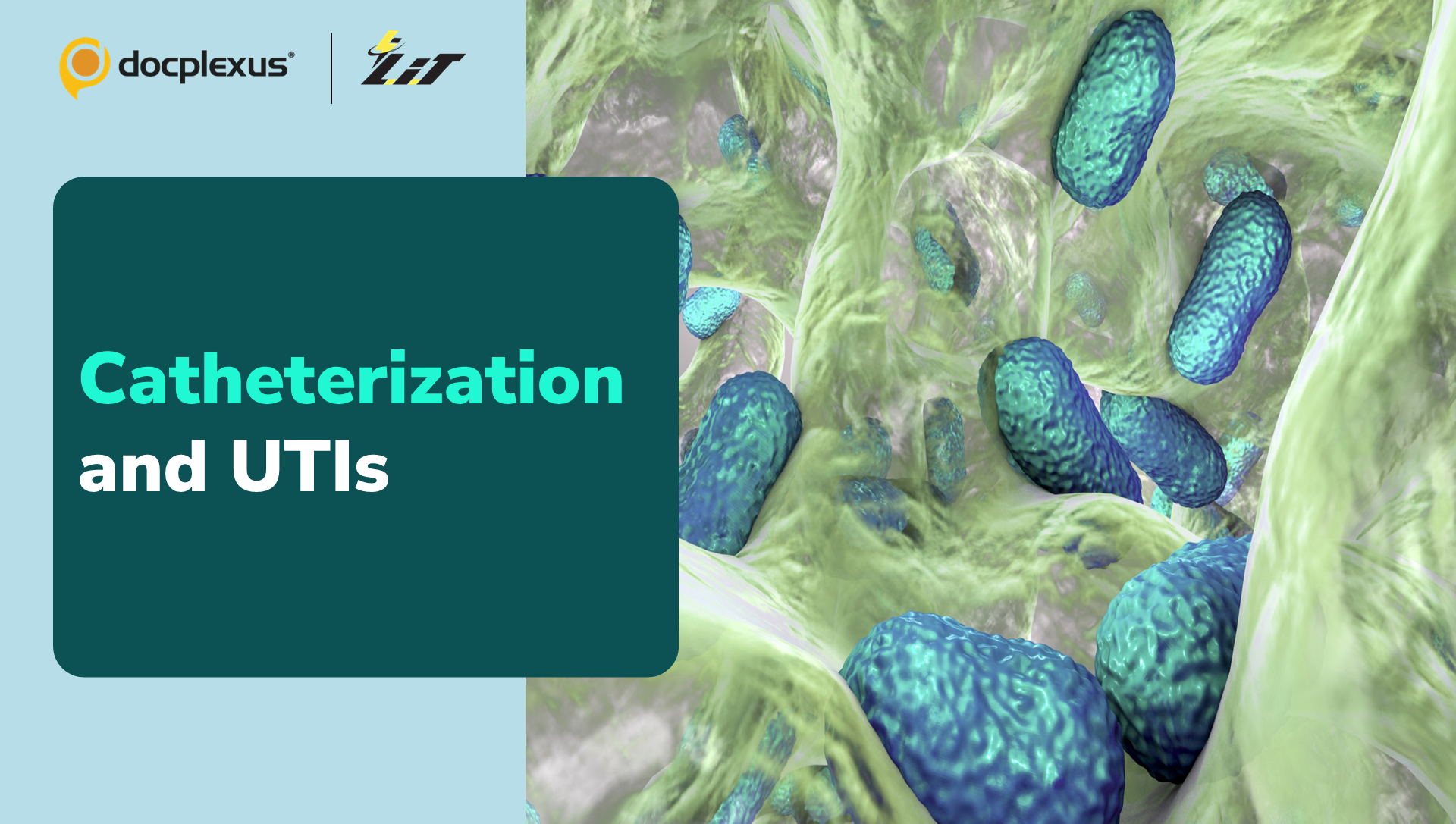 What Triggers Nosocomial Urinary Tract Infections?