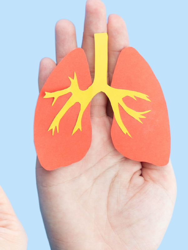 Infections in Solid Organ Transplant Recipients