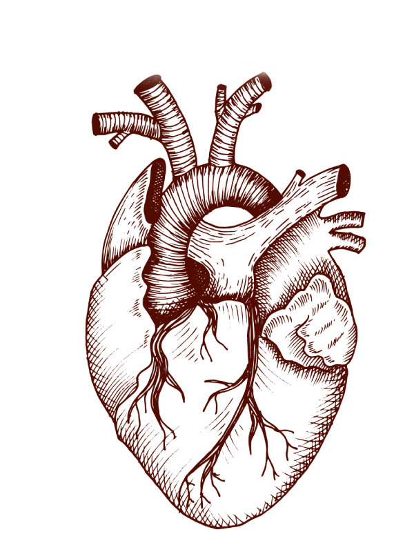 Aortic Dissection: The Tear of Death