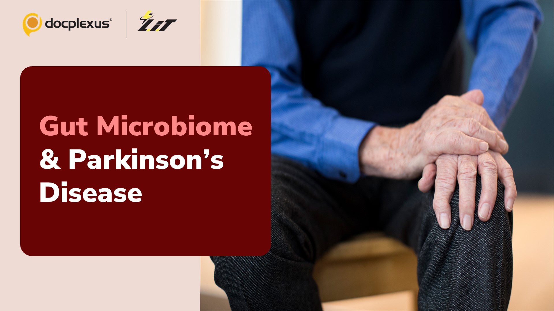 Role of Gut Microbiome in Parkinson’s Pathogenesis