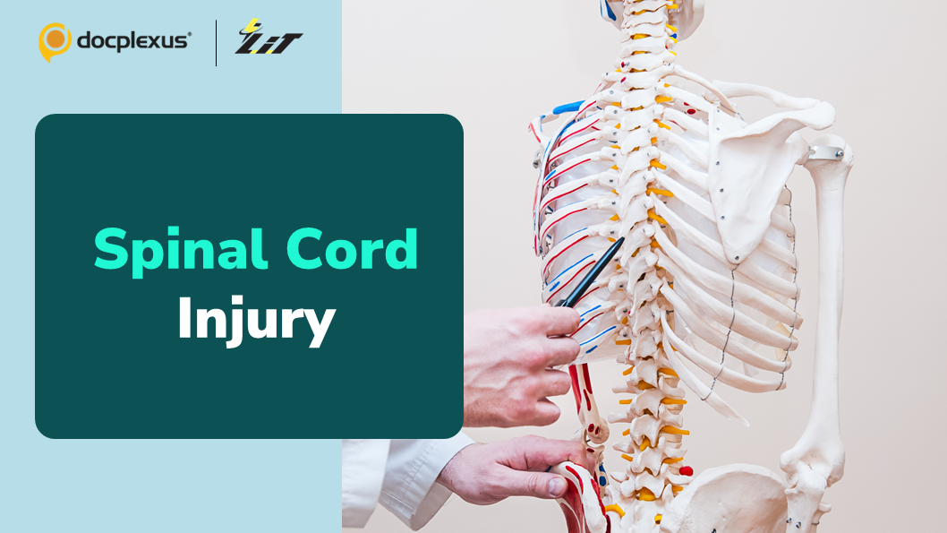 Brain and Nerve Stimulation to Restore Spinal Cord Injury