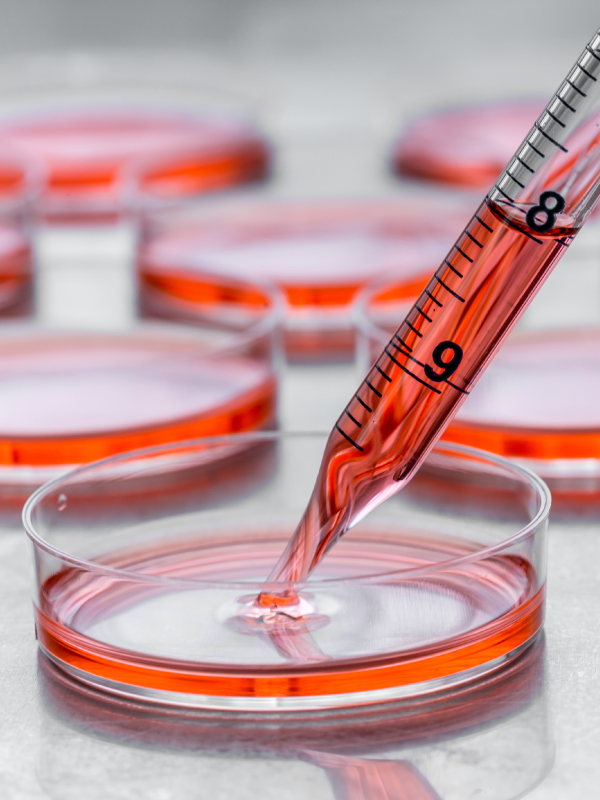 Blood & Its Products as Regenerative Agents in Dentistry