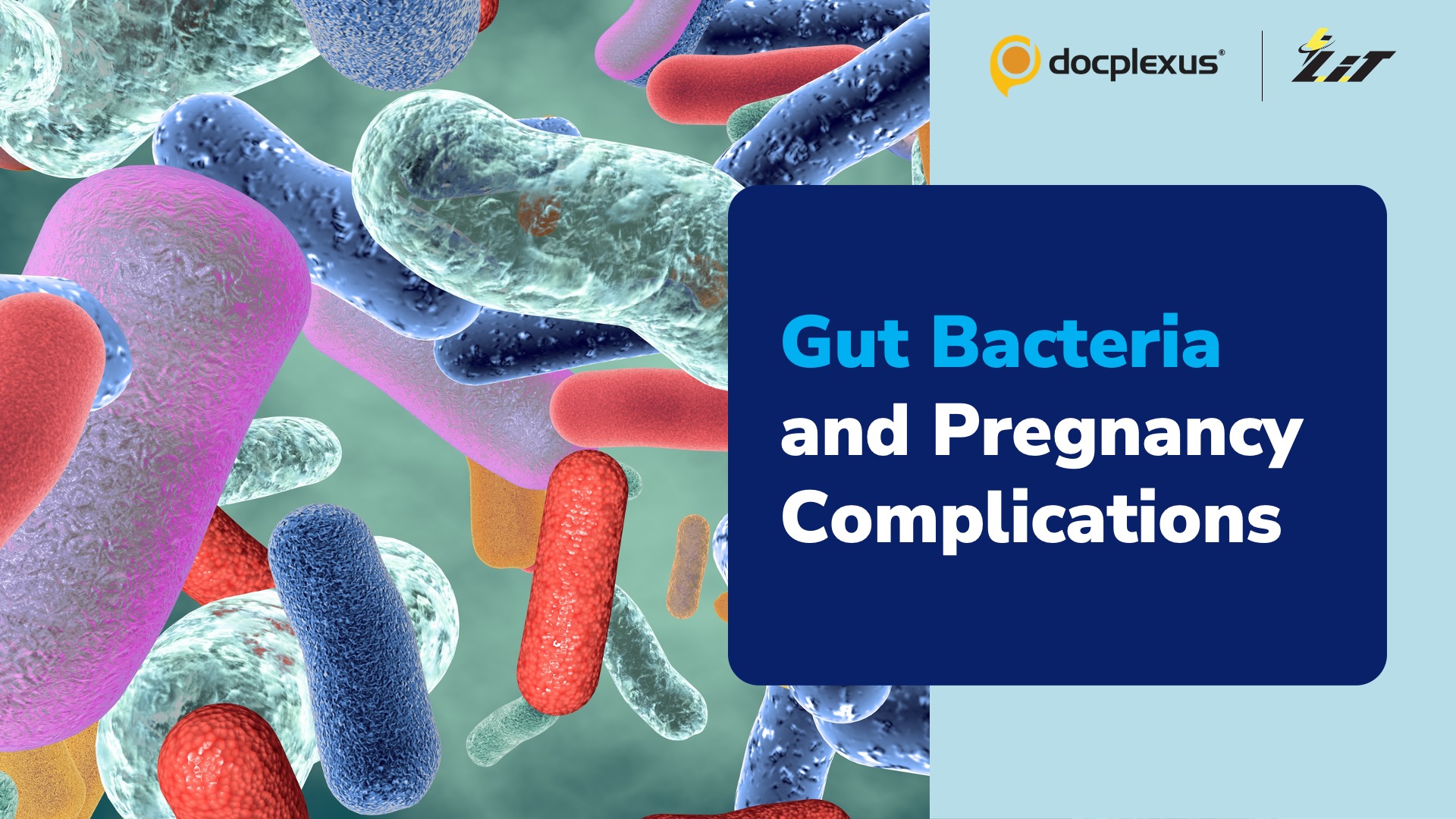 Can Gut Microbiome Help Detect Pregnancy Complications Early?
