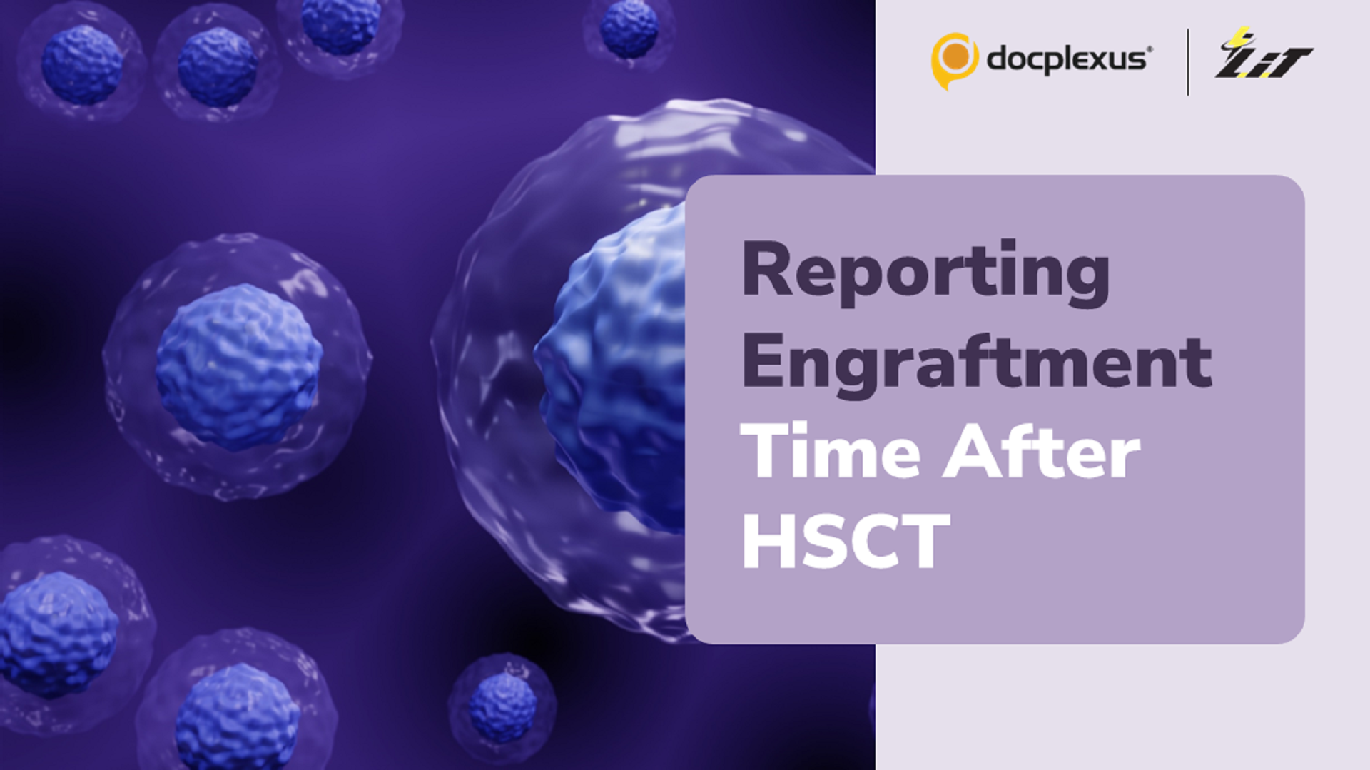 A New Tool to Reduce Reporting Errors After HSCT