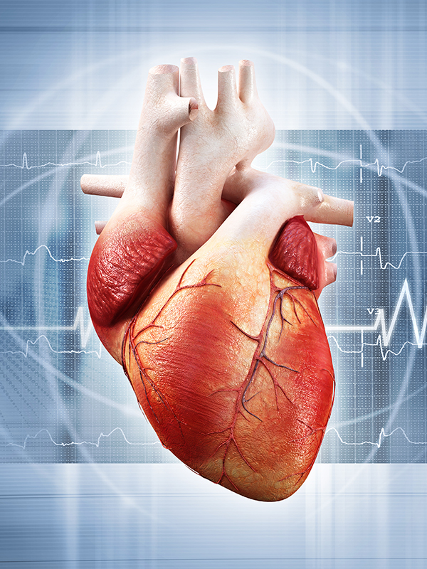 Improvements in Cardiology and Cardiac Surgery