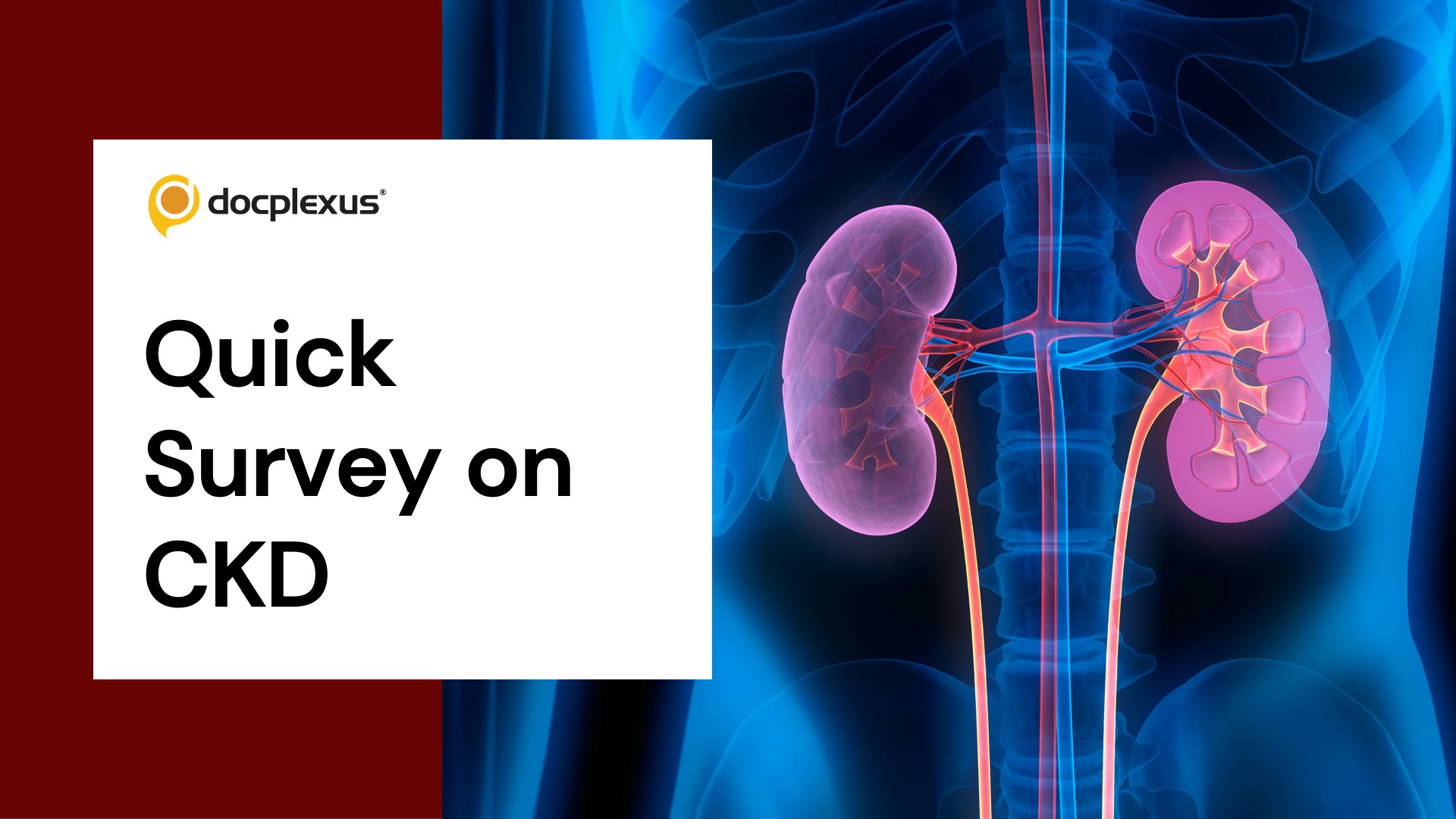 Chronic Kidney Disease: Make Your Opinion Count!